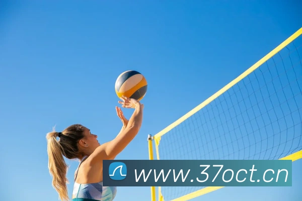 ayx官方登录平台全站App